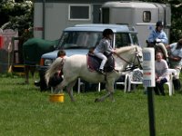 IMG 3019
