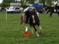 IMG 3041