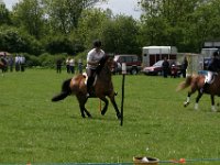IMG 3050