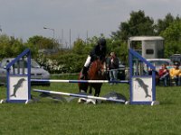 IMG 3051