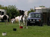 IMG 3056