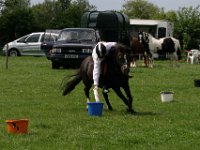 IMG 3058