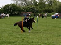 IMG 3069