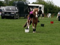 IMG 3075
