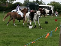 IMG 3080
