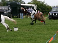 IMG 3081