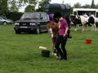 IMG 3096