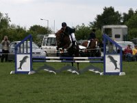 IMG 3104