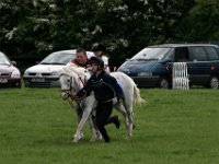 IMG 3118
