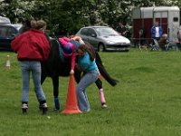 IMG 3120