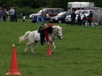 IMG 3141