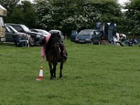 IMG 3142