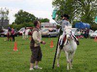 IMG 3173