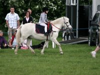 IMG 3345