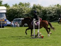 IMG 2762