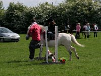 IMG 2769