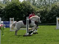IMG 2771