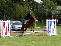 IMG 2824