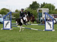 IMG 2884