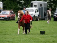 IMG 3195