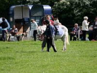 IMG 3294