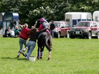 IMG 3303