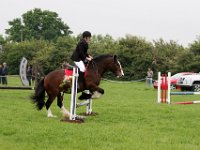 IMG 4271