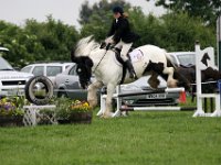 IMG 4308