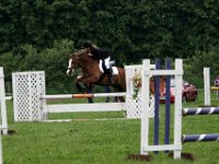 IMG 4521