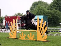 IMG 4568