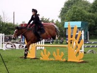 IMG 4582