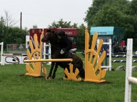 IMG 4609