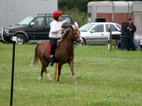 IMG 5527