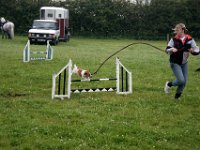 IMG 5287