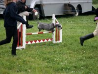 IMG 5303