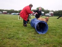 IMG 5318