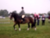 IMG 5143