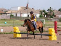 IMG 2515