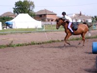 IMG 2531