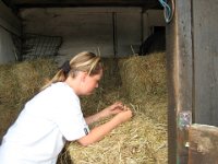 20070817 Stables Girls Day