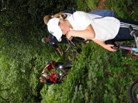 IMG 3186