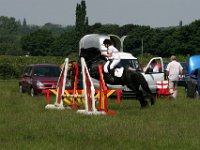 IMG 4804